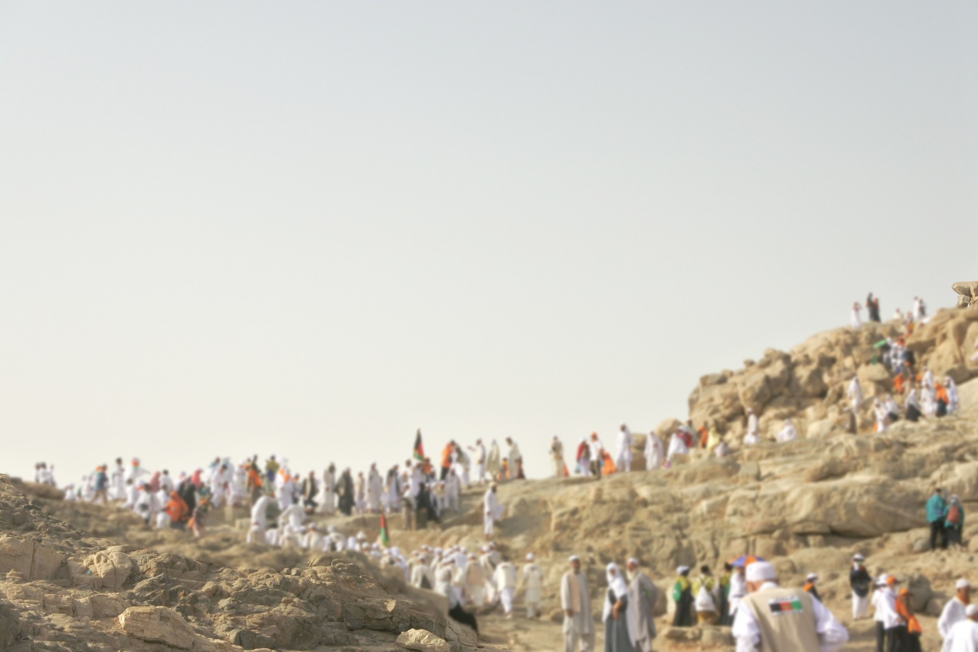 The day of arafah